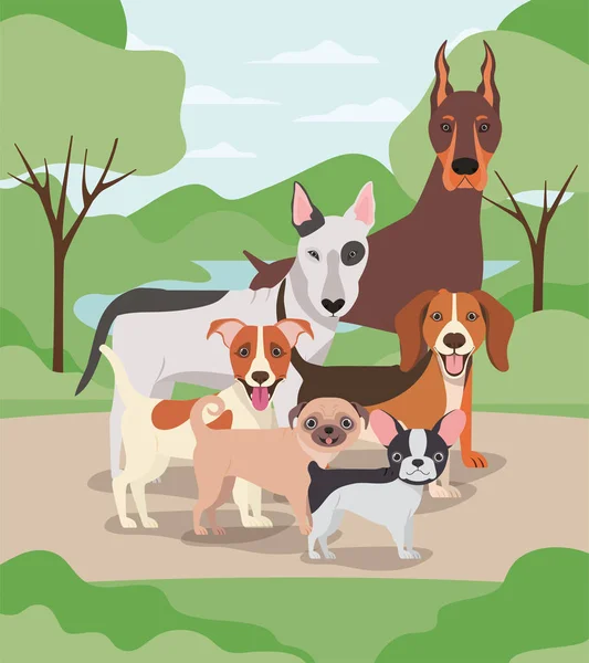 Grupo de cães animais de estimação nos personagens acampamento —  Vetores de Stock