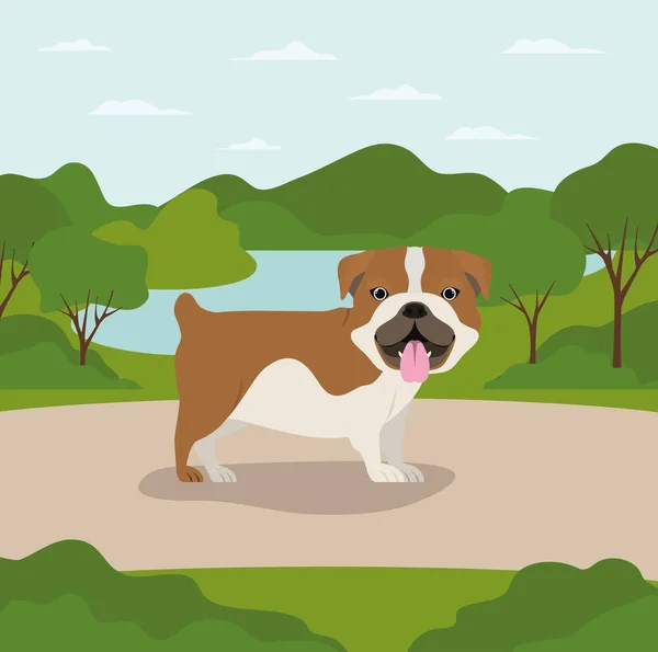 Lindo bulldog mascota en el campamento — Vector de stock