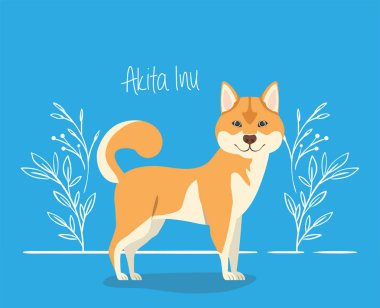 sevimli akita inu köpek hayvan karakteri