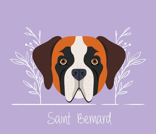 Niedliche Saint Bernard Hund Haustier Kopf Charakter — Stockvektor