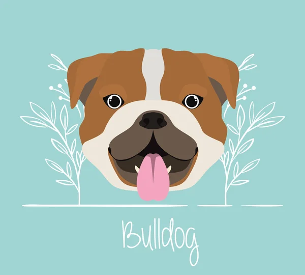 Niedliche Bulldogge Hund Haustier Kopf Charakter — Stockvektor