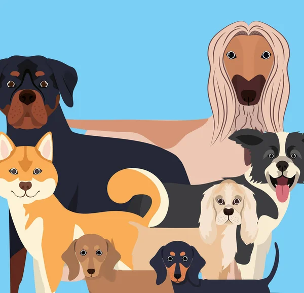 Grupo de cães personagens de animais de estimação —  Vetores de Stock