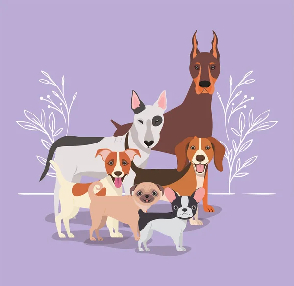 Grupo de cães personagens de animais de estimação —  Vetores de Stock