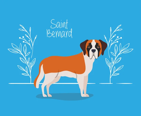 Niedliche Saint Bernard Hund Haustier Charakter — Stockvektor