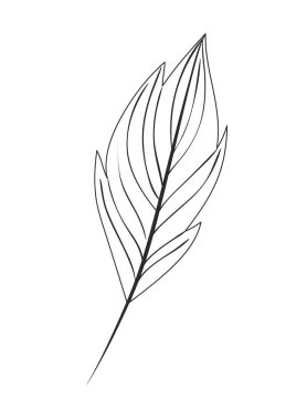 dal yaprak izole simgesiyle