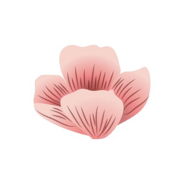 güzel çiçekler izole simgesi