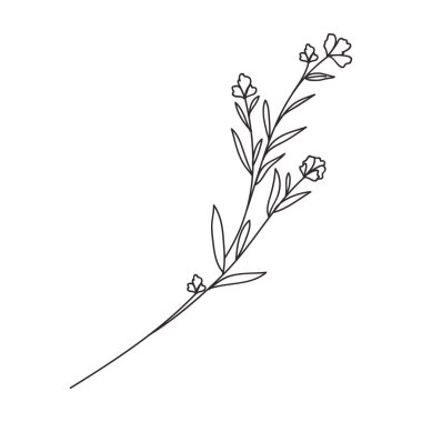 Yapraklı ayrık simge