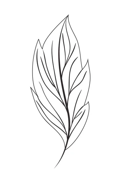 Branche avec icône isolée feuille — Image vectorielle