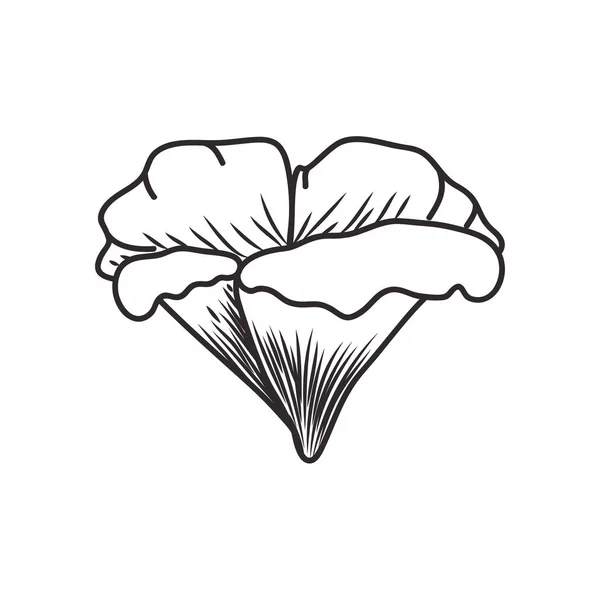 Piękny kwiat z liści na białym tle ikona — Wektor stockowy