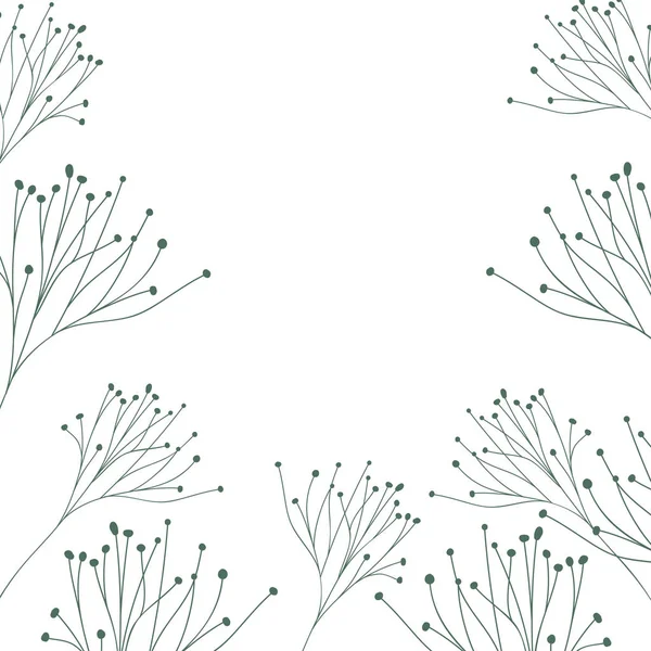 패턴 식물과 허브 고립 된 아이콘 — 스톡 벡터