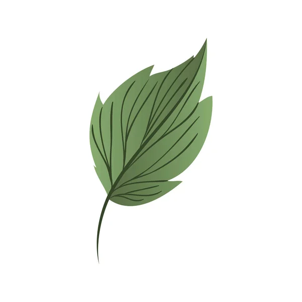 Κλαδί με φύλλα απομονωμένες εικονίδιο — Διανυσματικό Αρχείο