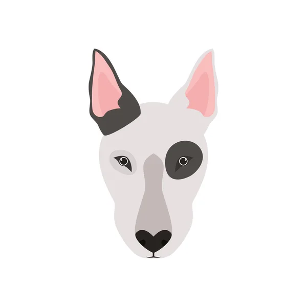 Testa di carino toro terrier cane su sfondo bianco — Vettoriale Stock