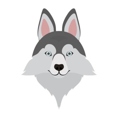 beyaz arka plan üzerinde sevimli lobo sibirya köpek başkanı