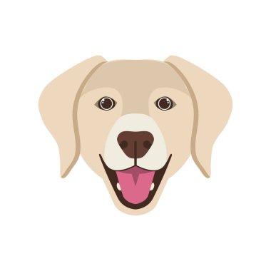 beyaz arka plan üzerinde sevimli labrador retriever köpek başkanı