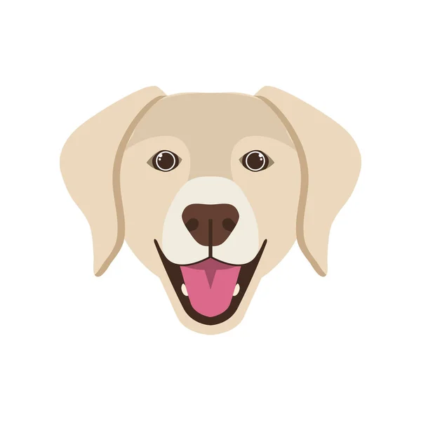 Cabeza de lindo perro labrador retriever sobre fondo blanco — Vector de stock