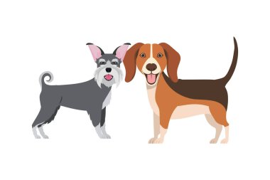 beyaz arka planda sevimli ve sevimli köpekler