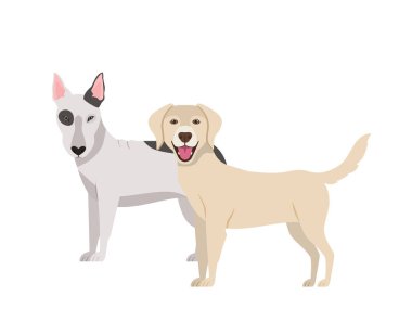 beyaz arka planda sevimli ve sevimli köpekler