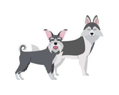 beyaz arka planda sevimli ve sevimli köpekler