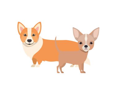 beyaz arka planda sevimli ve sevimli köpekler