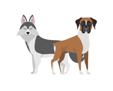 beyaz arka planda sevimli ve sevimli köpekler