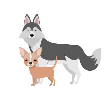 beyaz arka planda sevimli ve sevimli köpekler