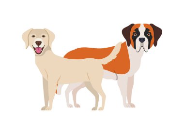 beyaz arka planda sevimli ve sevimli köpekler