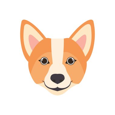 beyaz arka plan üzerinde sevimli galce corgi köpek başkanı