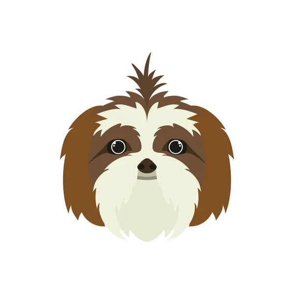 Head of cute shih tzu dog on white background — Stock Vector