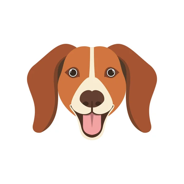 Tête de chien beagle mignon sur fond blanc — Image vectorielle