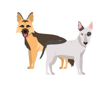 beyaz arka planda sevimli ve sevimli köpekler