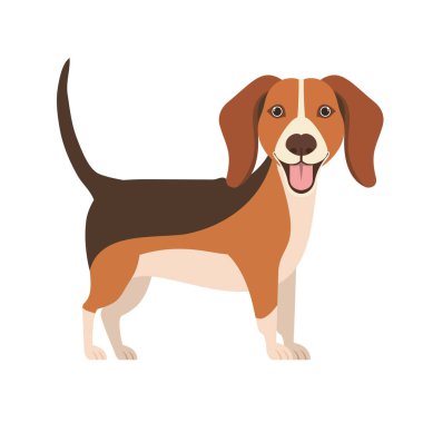 Beyaz arka plan üzerinde şirin beagle köpek