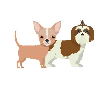 beyaz arka planda sevimli ve sevimli köpekler