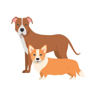 beyaz arka planda sevimli ve sevimli köpekler