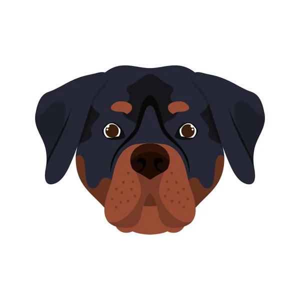 Hlava roztomilýho rotweiler psa na bílém pozadí — Stockový vektor