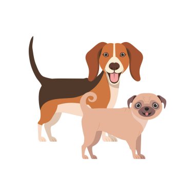 beyaz arka planda sevimli ve sevimli köpekler