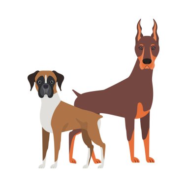 beyaz arka planda sevimli ve sevimli köpekler