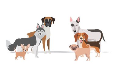 beyaz arka plan üzerinde sevimli köpeklerin seti