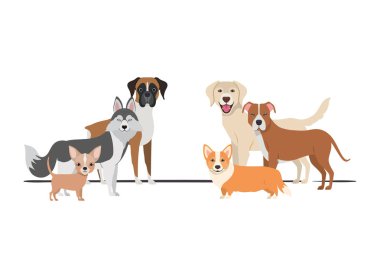 beyaz arka plan üzerinde sevimli köpeklerin seti