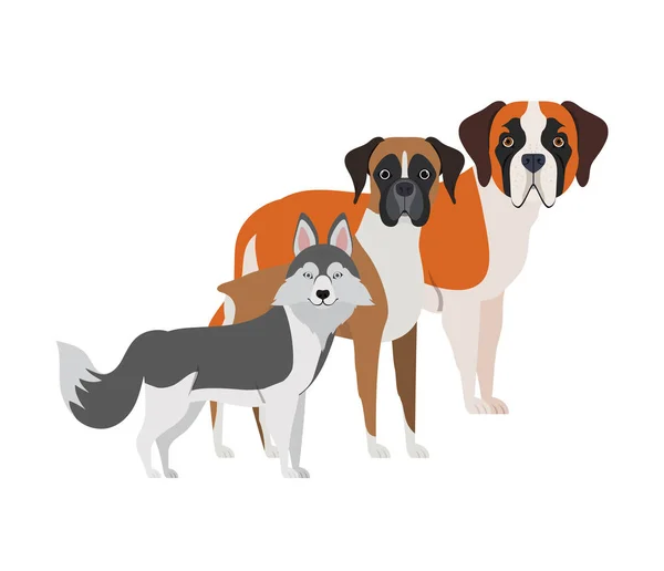 Set de perros adorables sobre fondo blanco — Vector de stock