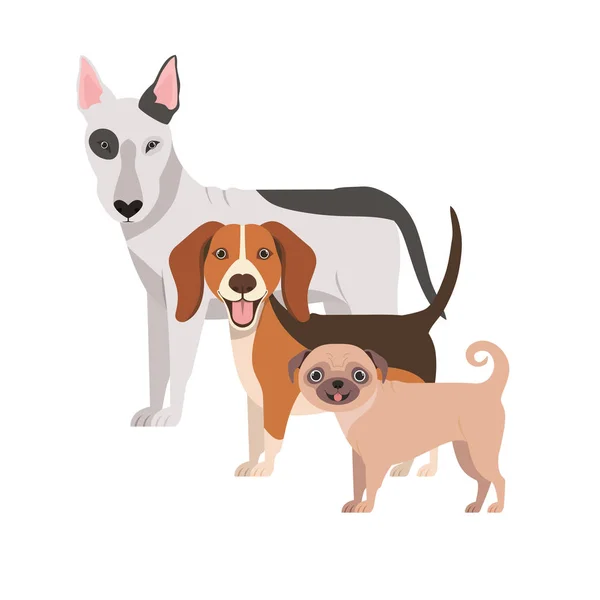 Set de perros adorables sobre fondo blanco — Vector de stock