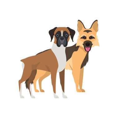 beyaz arka planda sevimli ve sevimli köpekler