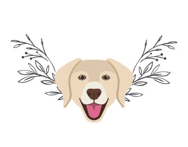 beyaz arka plan üzerinde sevimli labrador retriever köpek başkanı