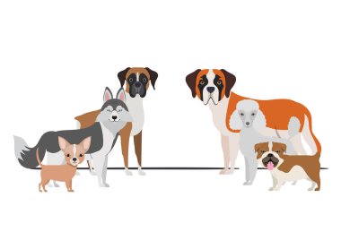 beyaz arka plan üzerinde sevimli köpeklerin seti