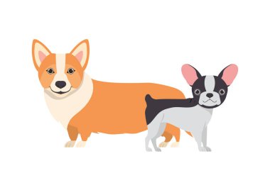 beyaz arka planda sevimli ve sevimli köpekler