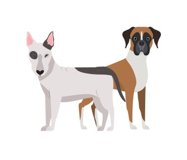 beyaz arka planda sevimli ve sevimli köpekler