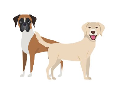 beyaz arka planda sevimli ve sevimli köpekler