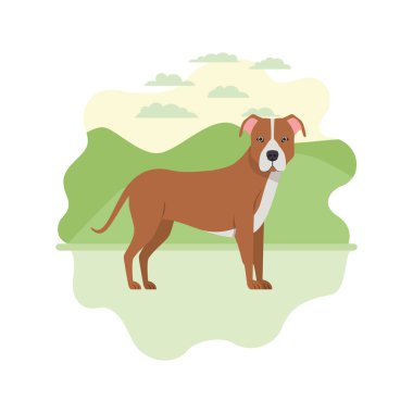 beyaz arka plan üzerinde sevimli pitbull köpek