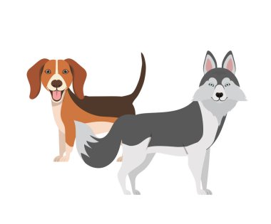beyaz arka planda sevimli ve sevimli köpekler