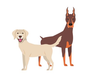 beyaz arka planda sevimli ve sevimli köpekler