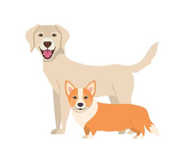 beyaz arka planda sevimli ve sevimli köpekler